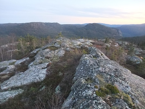 På Skogestøylheii med utsikt sørover mot Løefjellheii 943 og Flatestøylåsen 926.