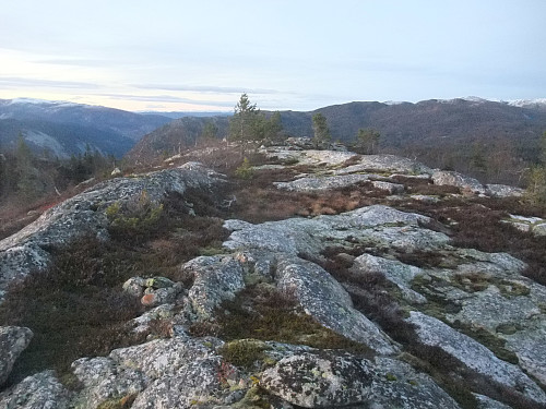 Utsikt nordover.