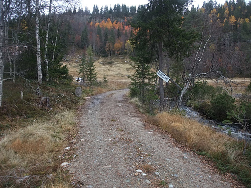 Skogsvegen der eg begynte turen.