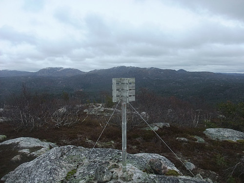 Trigpunktet på Løefjellheii. Pløsa 1198, der eg var dagen før, i bakgrunnen.