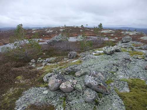 På Skjeldalsheii så har to like høge topper.