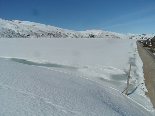 Oppe ved demningen til Kulivatn 612 moh.