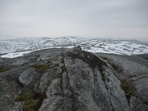 Rasmusskardheia i bakgrunnen og Krolifjellet litt t.v.
