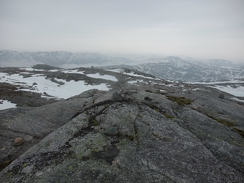 På Molteheia med Lyngsvatnet og Lysekammen i skodda bak.