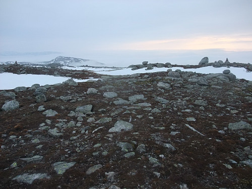 På Rasmusskardheia med fleire småvarder. Krolifjellet bak t.v.