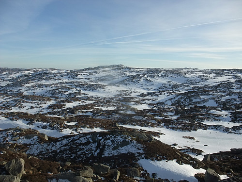 På Skodknuten med Gryteheia i bakgrunnen.