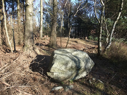 På Presthei der det er lite utsikt pga skog.