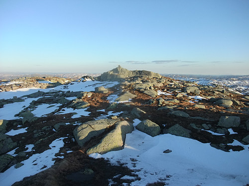 På nordlig knaus av Myrfjell med hovedtoppen bak.