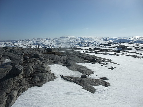 På Sandvassknuten med utsikt sørvest mot Hunnefjell 1131.