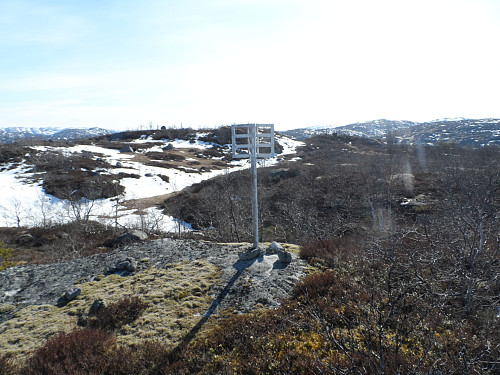 På Kvæveheia trigpunkt mot toppen i bakgrunnen.