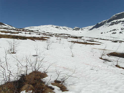 Samanhengande skiføre over ca 850 moh.