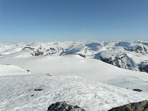 På Nummestolane med Fresvikbreen i bakgrunnen.