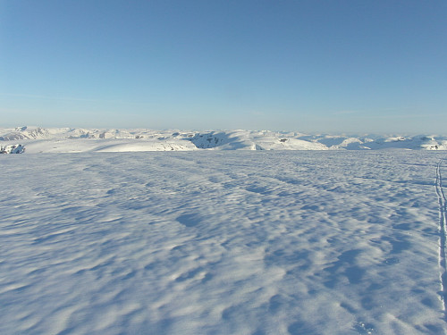 Oppe på det vide topplatået på Fresvikbreen.