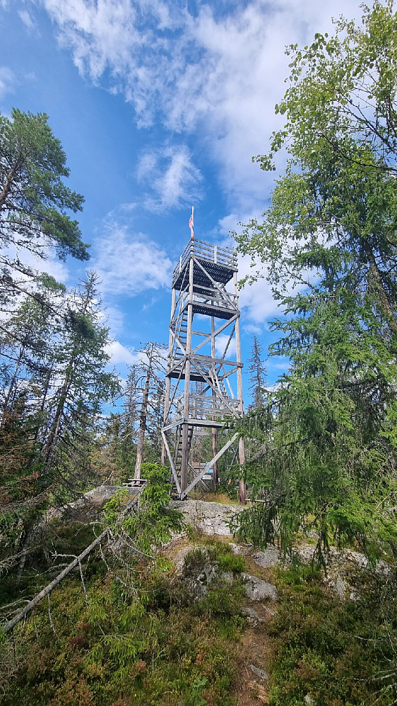 Tårnet på Vardehøgda