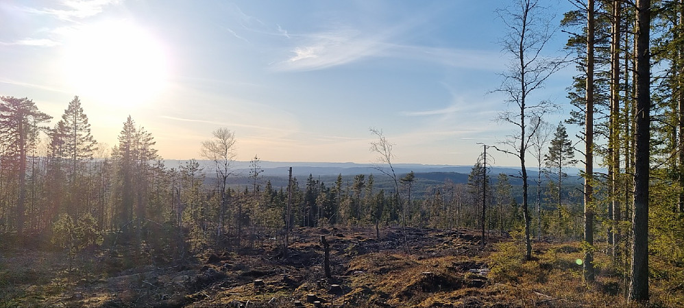 Utsikt fra toppen av hogstfeltet ved Kukollen