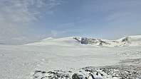 tobben_20250309_67cdabb23f4a2.jpg