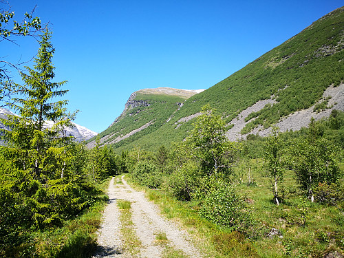 Innover Kjellstaddalen, oppover mot Kvanngrønibba