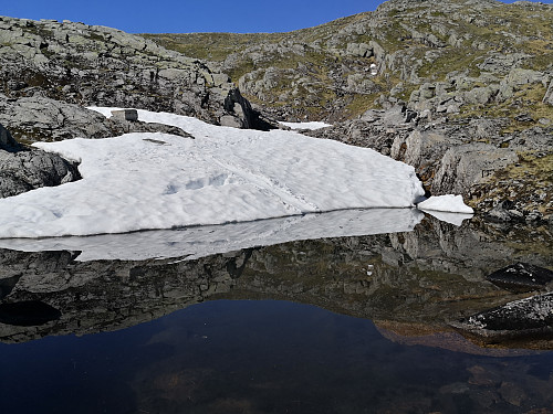 Vannsklie ned i ein liten kulp. Forfriskande og morosamt!
