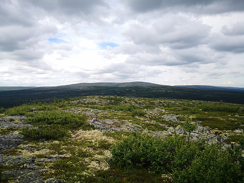 Utsikt frå Heievola