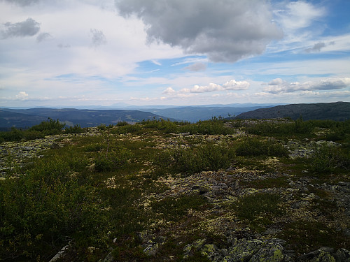 Utsikt frå Heievola