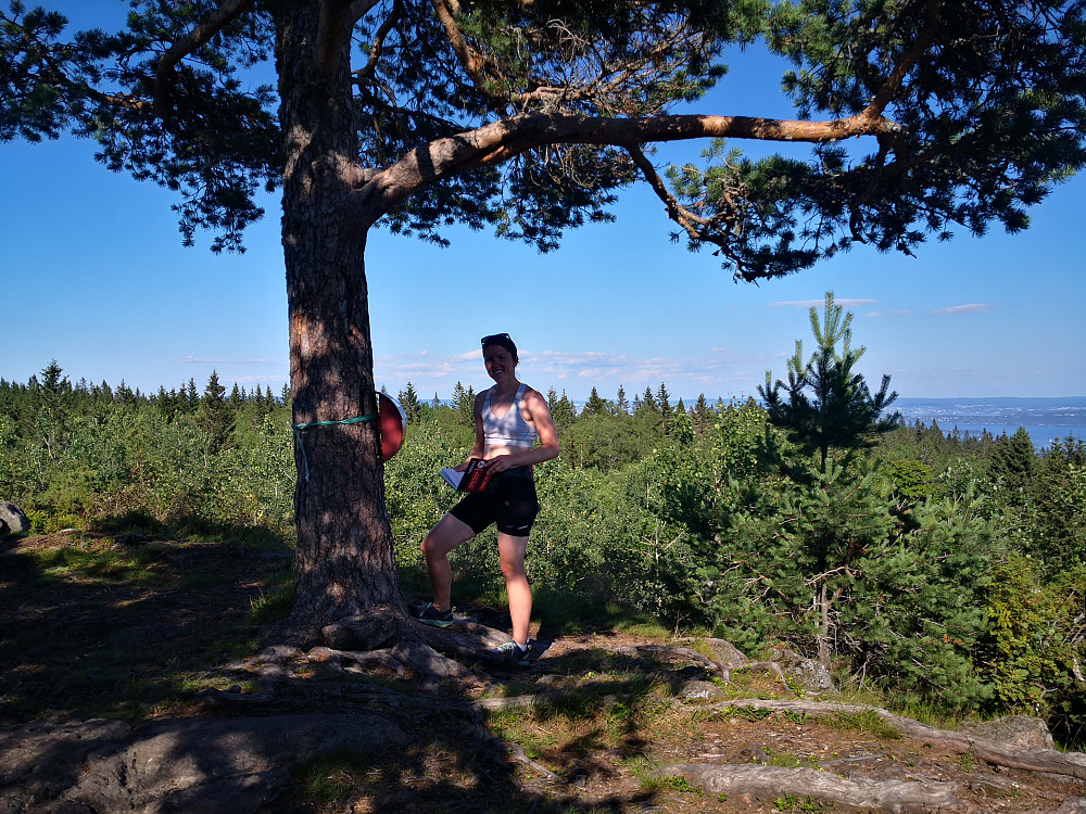På Bergsåsen