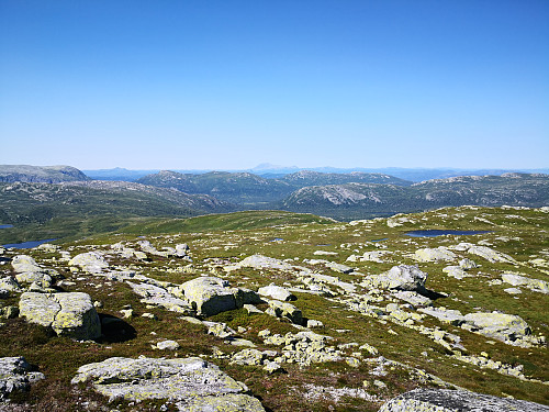 Utsikt nordover Lifjell, mot Gaustatoppen, frå Troganattan