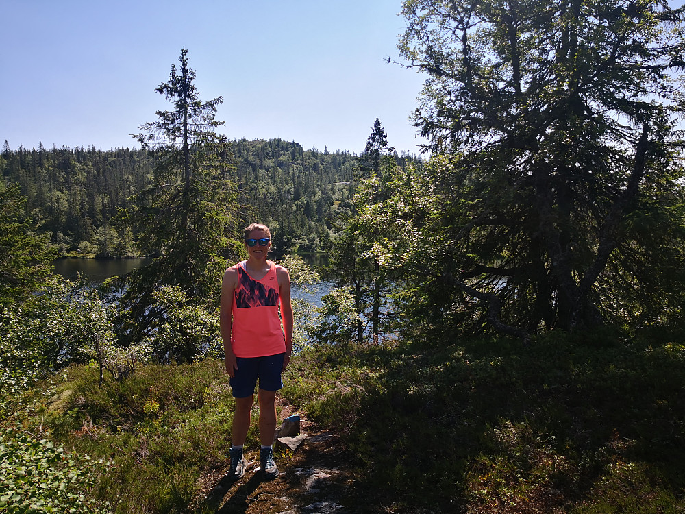Tåråfjellet bak Sandtjønn