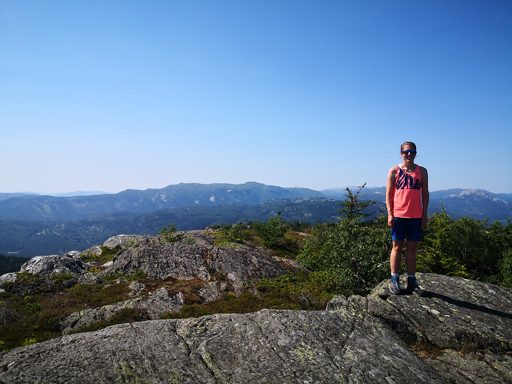Mot Lifjell frå Tåråfjellet