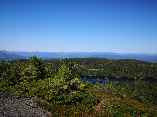 Sandtjønn frå Tåråfjellet