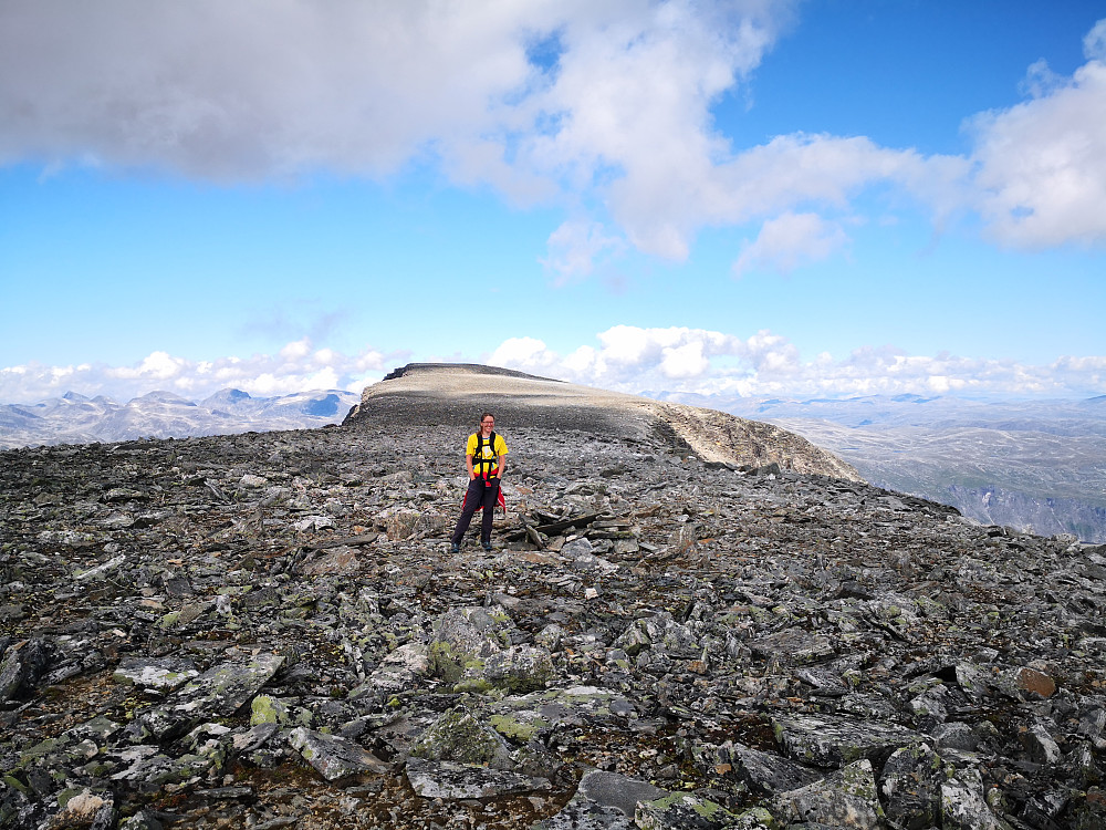 På fortoppen, med Kleneggen bak