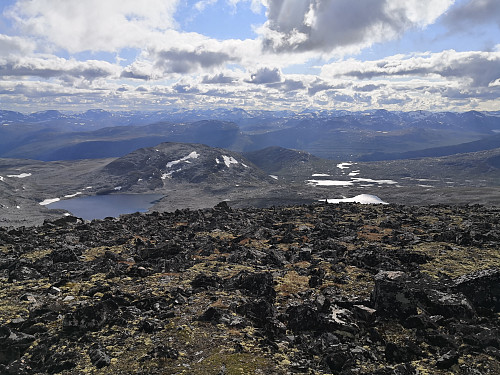 Kaldhøa frå Børa