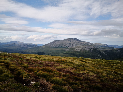 Blåskjerdingen frå Vardtua