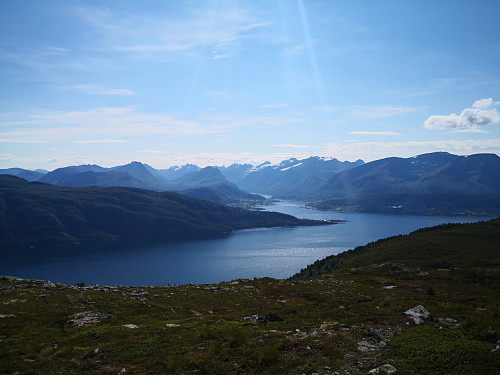 Sunnmørsalper frå Meraftafjellet