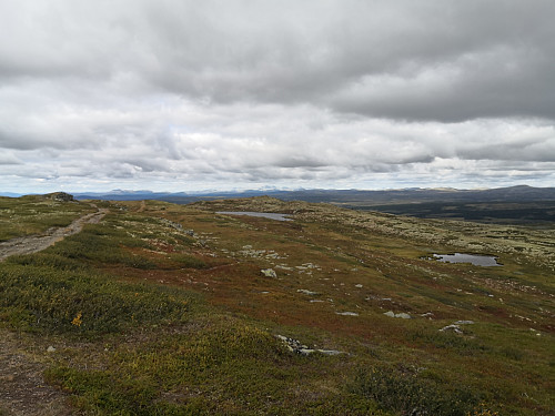 Mot nordtoppen frå Goppollfjellet, Rondane i det fjerne