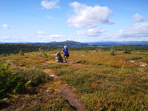 På Skinnfjellet, med Djupdalskampen og Svangkampen bak