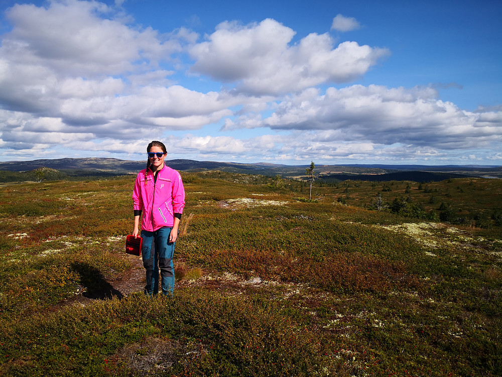 På Skinnfjellet