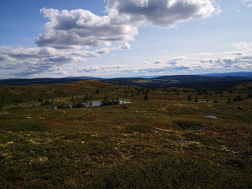 Utsikt sørover frå Skinnfjellet