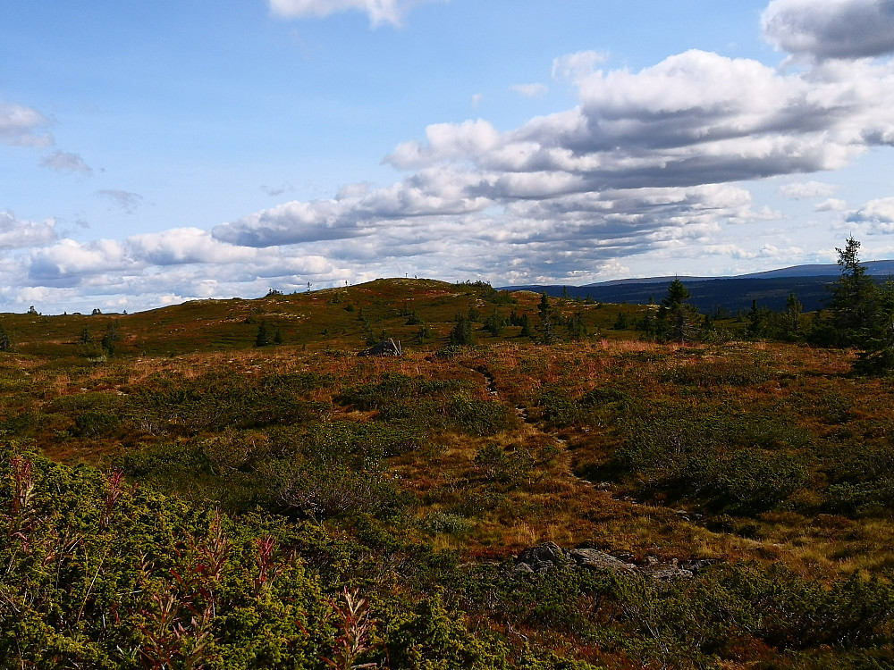 Skinnfjellet sør