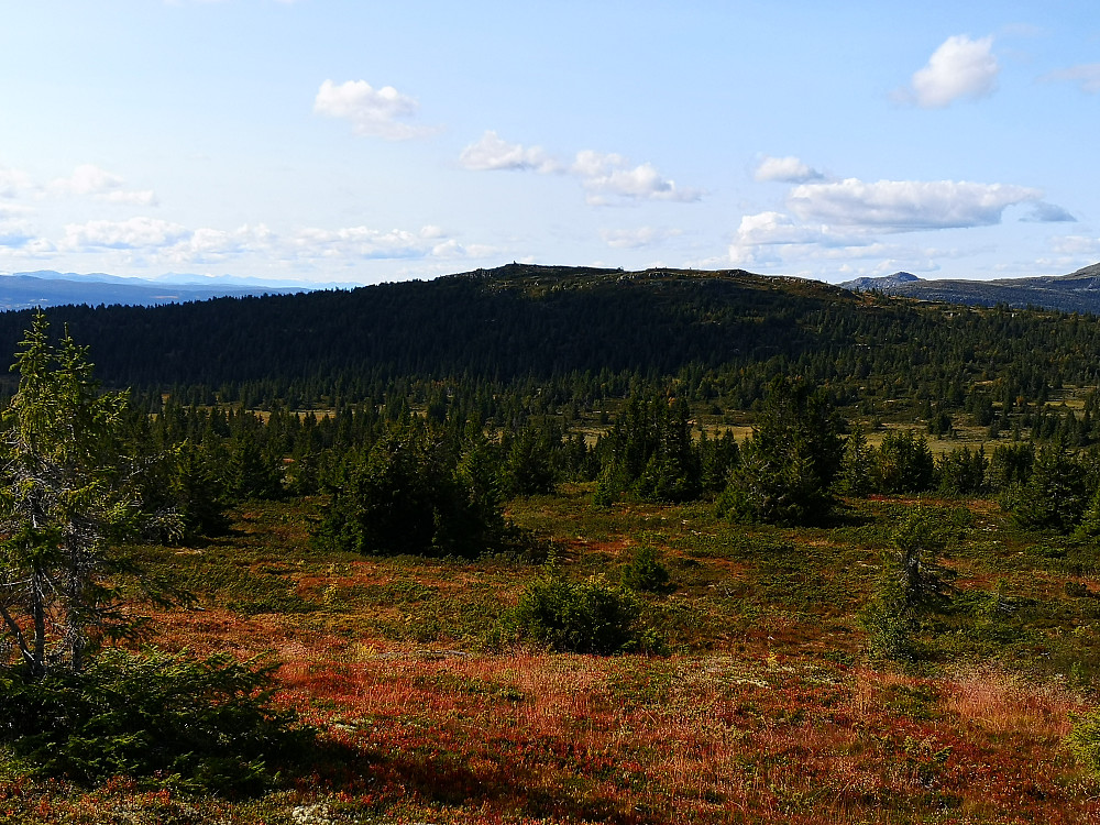 På veg mot Rokfjellet