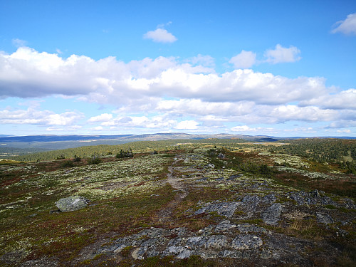 Utsikt austover frå Rokfjellet, mot Goppollfjellet