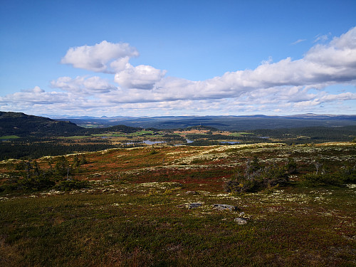Utsikt nordover frå Rokfjellet, mot Flausetra og Gullhaugsetra. Med Muen bak