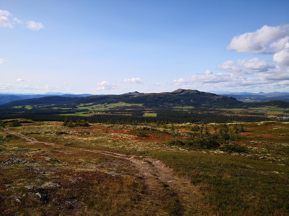 Djupdalskampen og Svangkampen frå Rokfjellet