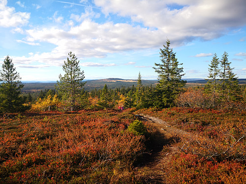 Brumundkampen frå Målifjellet