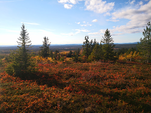 Utsikt frå Målifjellet