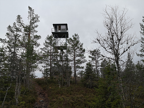 Tårnet