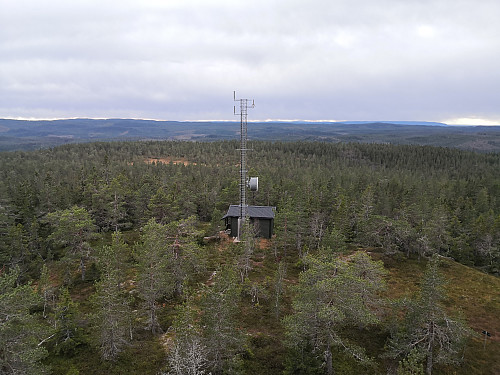 Utsikt frå tårnet
