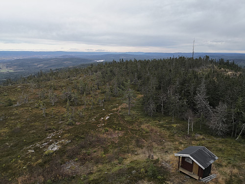 Utsikt frå tårnet