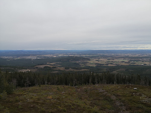 Utsikt frå tårnet