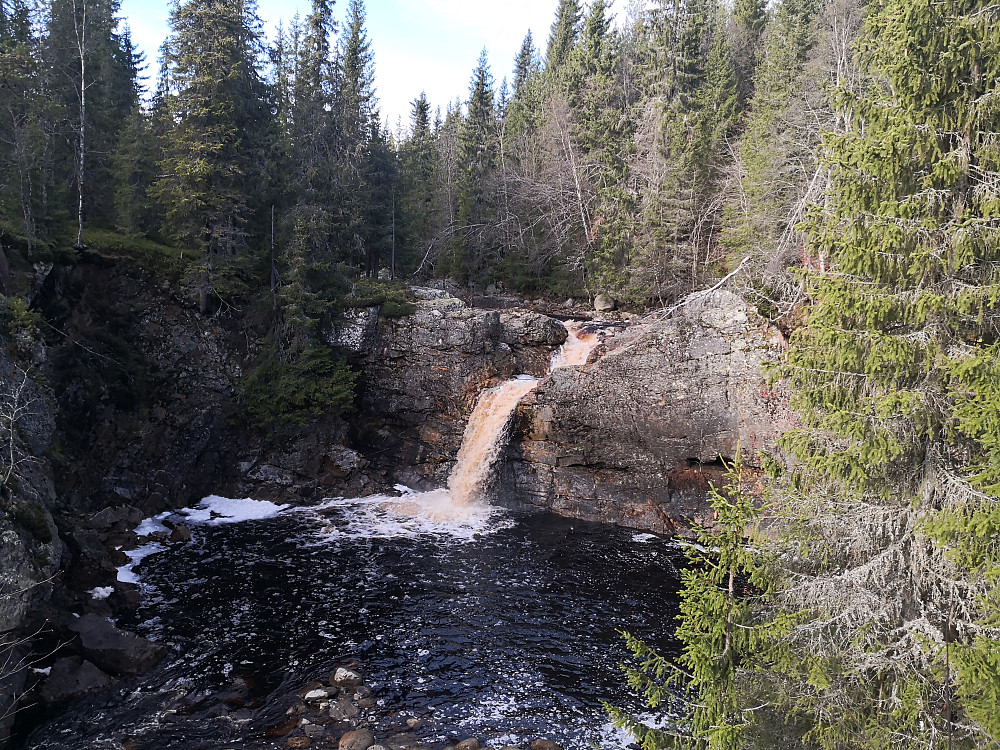 Tørbustilfallet