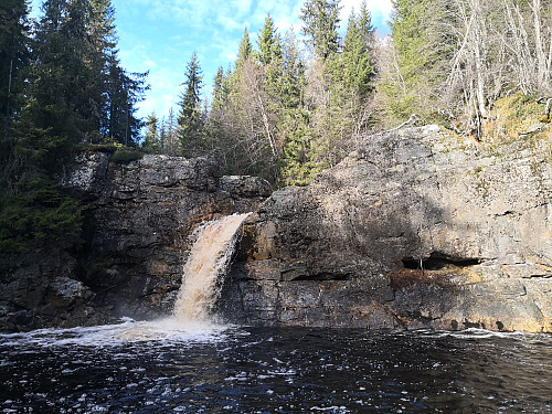 Tørbustilfallet